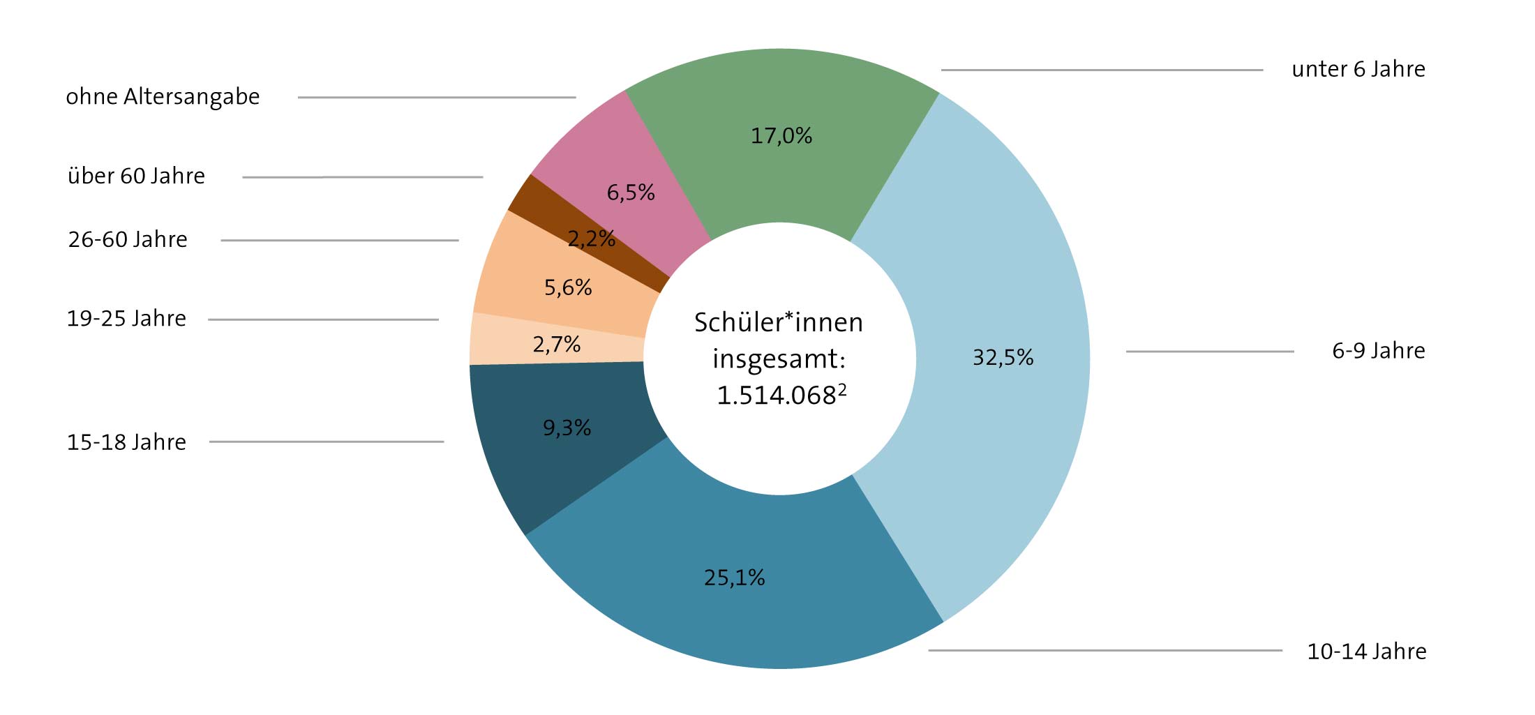 Abbildung: Schüleranteile nach Altersgruppen